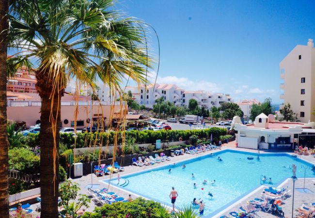  in Los Cristianos - M-SUNNY VIEWS