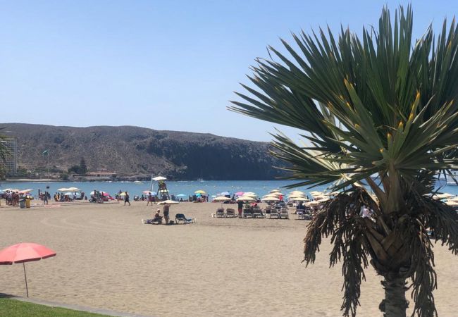  in Los Cristianos - VIEW TO THE INFINITE SEA IN LOS CRISTIANOS