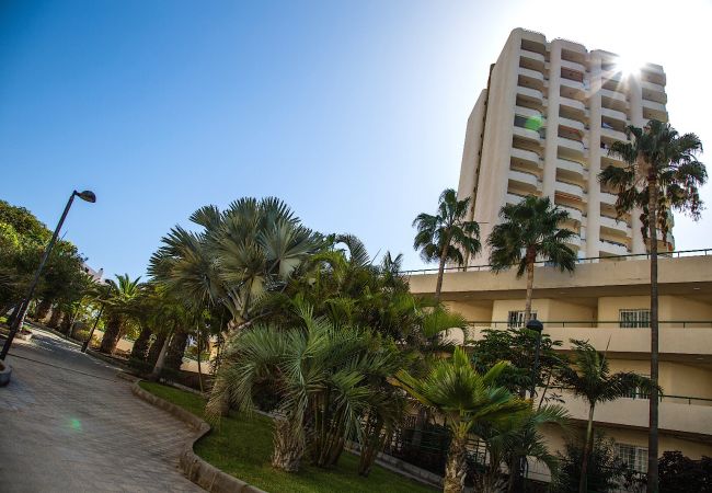 Apartamento en Los Cristianos - D-AMAZING SEA VIEW IN LOS CRISTIANOS Apartamento en Los Cristianos - D-AMAZING SEA VIEW IN LOS CRISTIANOS