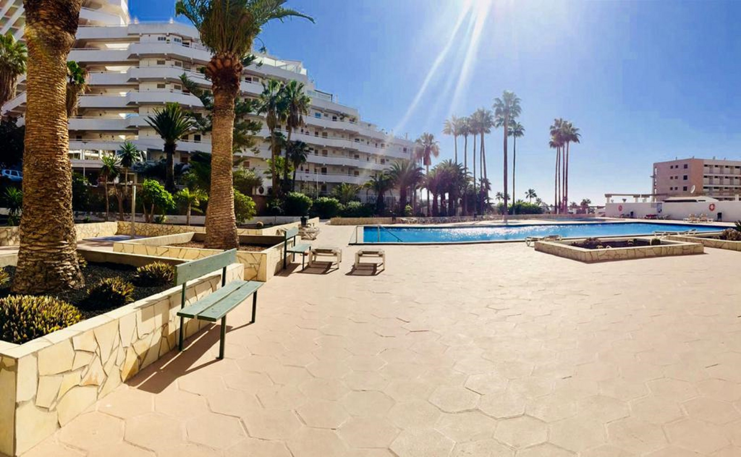 apartamento playa de las americas apartamentos en playa de las americas flor rosa del mar apartamento playa de las americas apartamentos en playa de las americas flor rosa del mar
