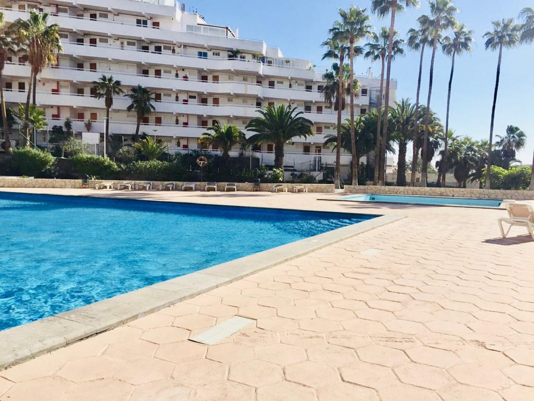 apartamento playa de las americas apartamentos en playa de las americas flor rosa del mar apartamento playa de las americas apartamentos en playa de las americas flor rosa del mar