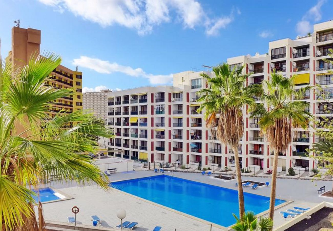 apartamento playa de las americas apartamentos en playa de las americas flor celeste apartamento playa de las americas apartamentos en playa de las americas flor celeste