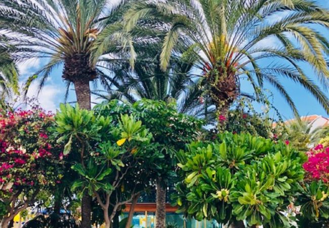 Apartamento en Playa de Las Americas - PARADISE IN BLUE WATERS Apartamento en Playa de Las Americas - PARADISE IN BLUE WATERS