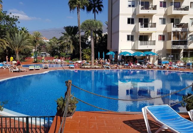 Estudio en Playa de Las Americas - SHINING GOLD PARKING WIFI Y PISCINA EN EL COMPLEJO Estudio en Playa de Las Americas - SHINING GOLD PARKING WIFI Y PISCINA EN EL COMPLEJO