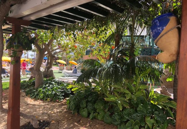 Appartamento a Playa de Las Americas - WONDER WATER WORLD IN PLAYA DE LAS AMERICAS Appartamento a Playa de Las Americas - WONDER WATER WORLD IN PLAYA DE LAS AMERICAS