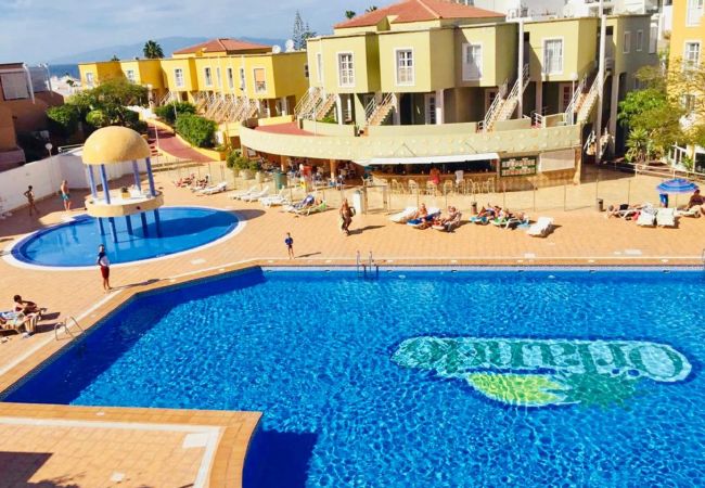 Studio a Costa Adeje - SUMMER SUNNY LIGHT WITH WIFI AND POOL IN COMPLEX Studio a Costa Adeje - SUMMER SUNNY LIGHT WITH WIFI AND POOL IN COMPLEX