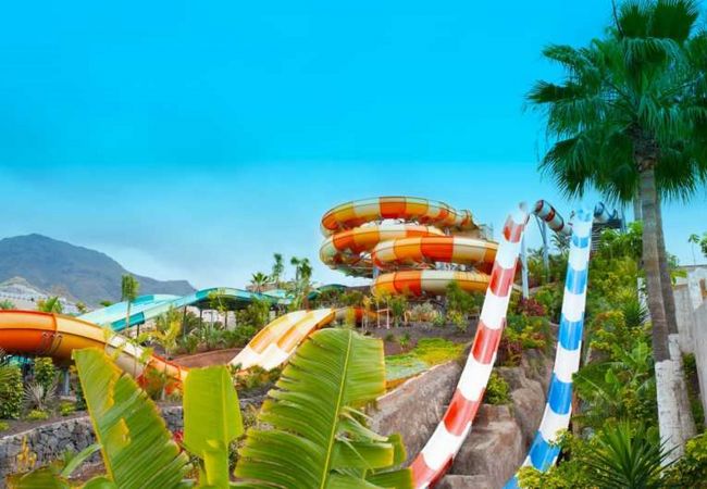 Studio a Costa Adeje - SUMMER SUNNY LIGHT WITH WIFI AND POOL IN COMPLEX Studio a Costa Adeje - SUMMER SUNNY LIGHT WITH WIFI AND POOL IN COMPLEX