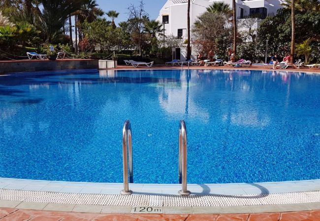Studio a Playa de Las Americas - SHINING GOLD PARKING WIFI Y PISCINA EN EL COMPLEJO Studio a Playa de Las Americas - SHINING GOLD PARKING WIFI Y PISCINA EN EL COMPLEJO