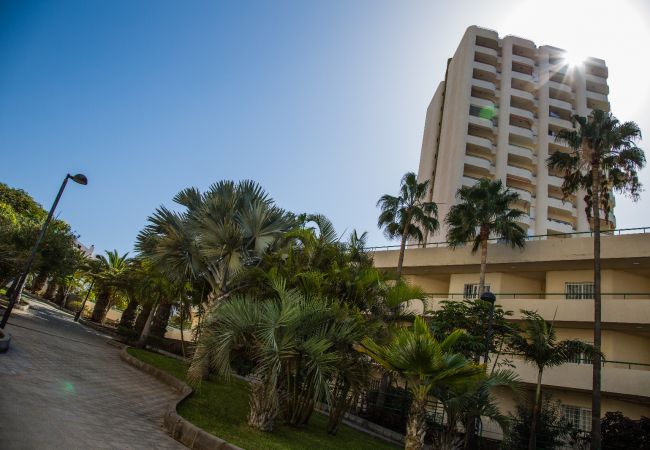 Apartment in Los Cristianos - D-AMAZING SEA VIEW IN LOS CRISTIANOS Apartment in Los Cristianos - D-AMAZING SEA VIEW IN LOS CRISTIANOS