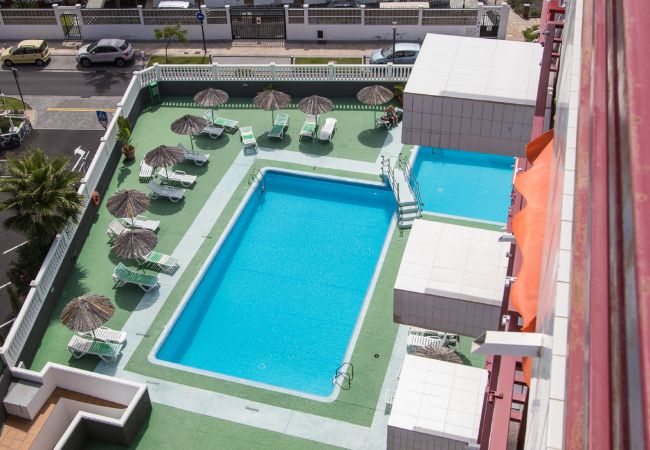 Apartment in Playa de Las Americas - SEA BREEZE IN PLAYA DE LAS AMERICAS WITH PARKING Apartment in Playa de Las Americas - SEA BREEZE IN PLAYA DE LAS AMERICAS WITH PARKING