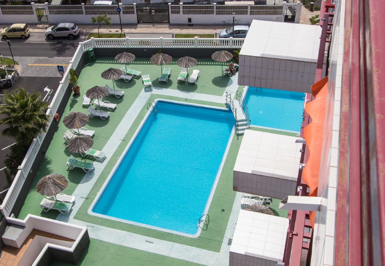 Apartment in Playa de Las Americas - SEA BREEZE IN PLAYA DE LAS AMERICAS WITH PARKING Apartment in Playa de Las Americas - SEA BREEZE IN PLAYA DE LAS AMERICAS WITH PARKING