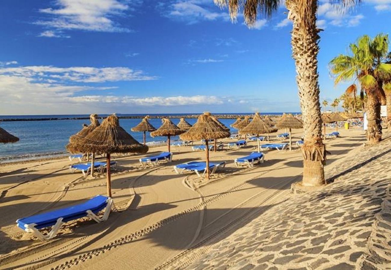 Apartment in Playa de Las Americas - SEA BREEZE IN PLAYA DE LAS AMERICAS WITH PARKING Apartment in Playa de Las Americas - SEA BREEZE IN PLAYA DE LAS AMERICAS WITH PARKING
