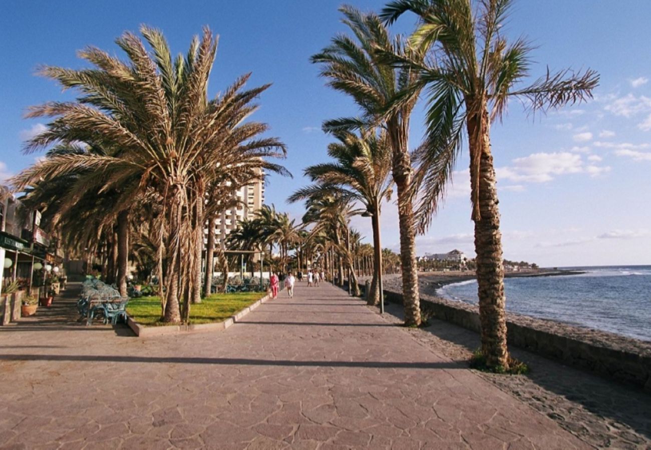 Apartment in Playa de Las Americas - SEA BREEZE IN PLAYA DE LAS AMERICAS WITH PARKING Apartment in Playa de Las Americas - SEA BREEZE IN PLAYA DE LAS AMERICAS WITH PARKING
