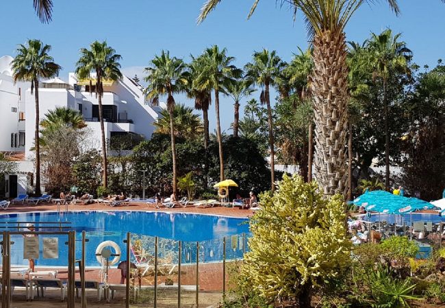  in Playa de Las Americas - SHINING GOLD PARKING WIFI Y PISCINA EN EL COMPLEJO