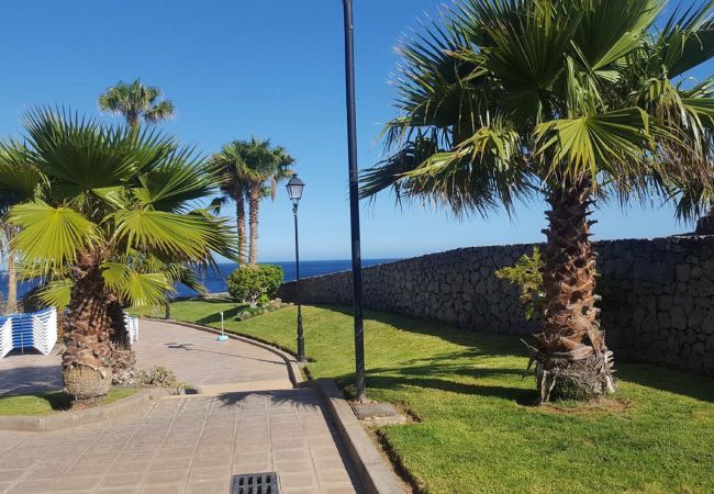 Apartment in Costa del Silencio - V-MARAVILLOSAS CALAS EN COSTA DEL SILENCIO Apartment in Costa del Silencio - V-MARAVILLOSAS CALAS EN COSTA DEL SILENCIO