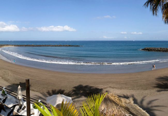 Rent by room in Playa de Las Americas - SEA COLOURS DELUXE ROOM Rent by room in Playa de Las Americas - SEA COLOURS DELUXE ROOM