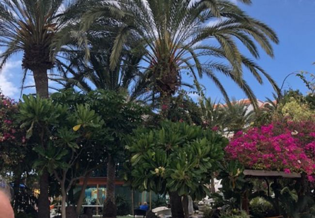 Апартаменты на Playa de Las Americas - WONDER WATER WORLD IN PLAYA DE LAS AMERICAS Апартаменты на Playa de Las Americas - WONDER WATER WORLD IN PLAYA DE LAS AMERICAS