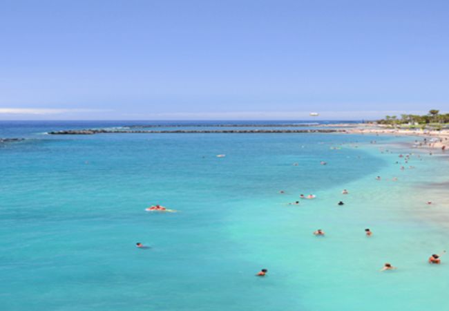 Квартира-студия на Costa Adeje - SUMMER SUNNY LIGHT WITH WIFI AND POOL IN COMPLEX Квартира-студия на Costa Adeje - SUMMER SUNNY LIGHT WITH WIFI AND POOL IN COMPLEX