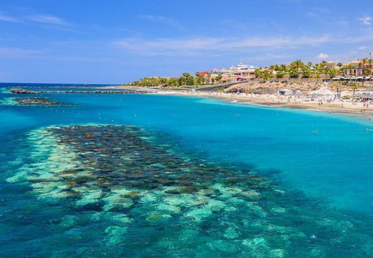 Квартира-студия на Costa Adeje - SUMMER SUNNY LIGHT WITH WIFI AND POOL IN COMPLEX Квартира-студия на Costa Adeje - SUMMER SUNNY LIGHT WITH WIFI AND POOL IN COMPLEX