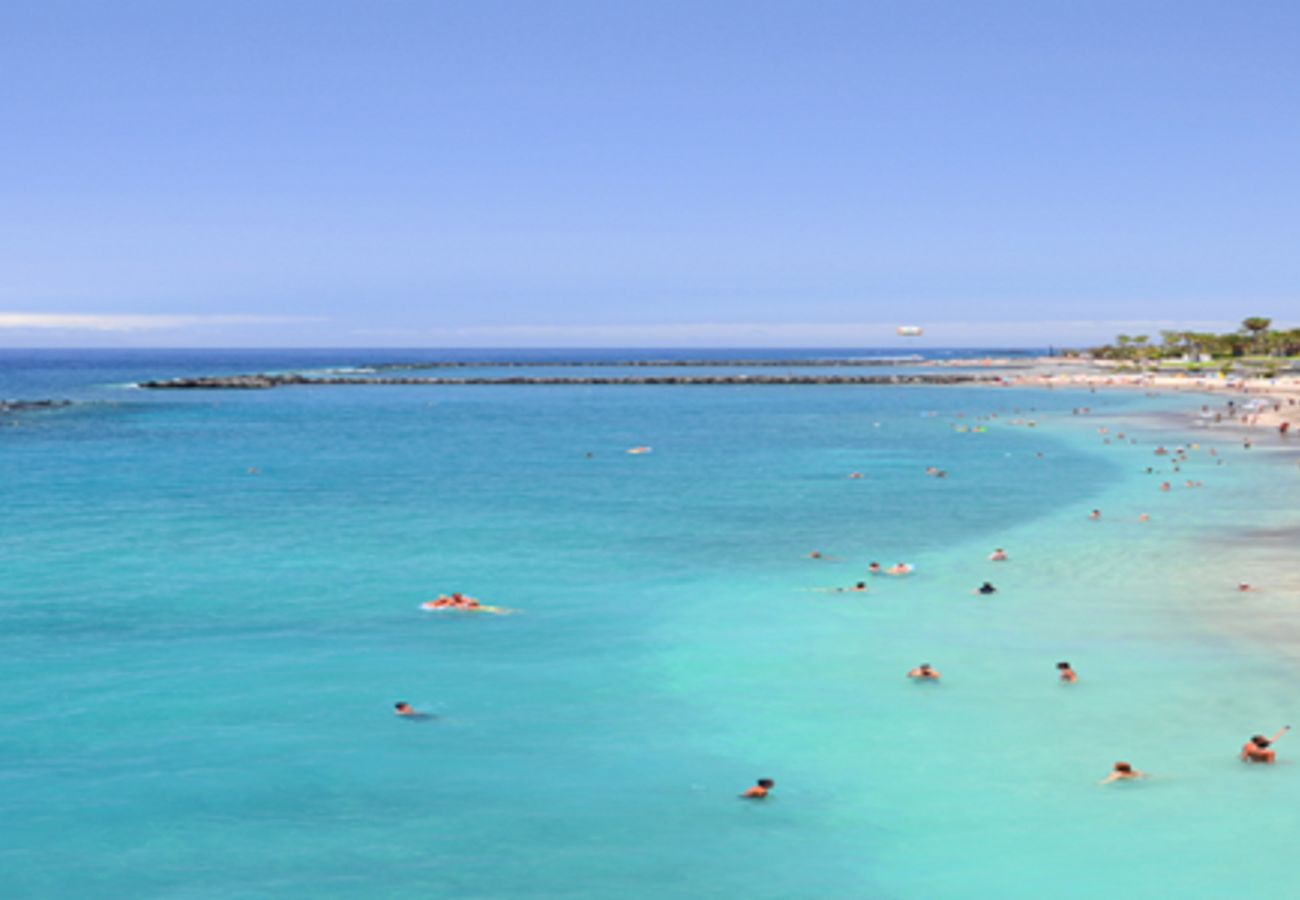 Квартира-студия на Costa Adeje - SUMMER SUNNY LIGHT WITH WIFI AND POOL IN COMPLEX Квартира-студия на Costa Adeje - SUMMER SUNNY LIGHT WITH WIFI AND POOL IN COMPLEX