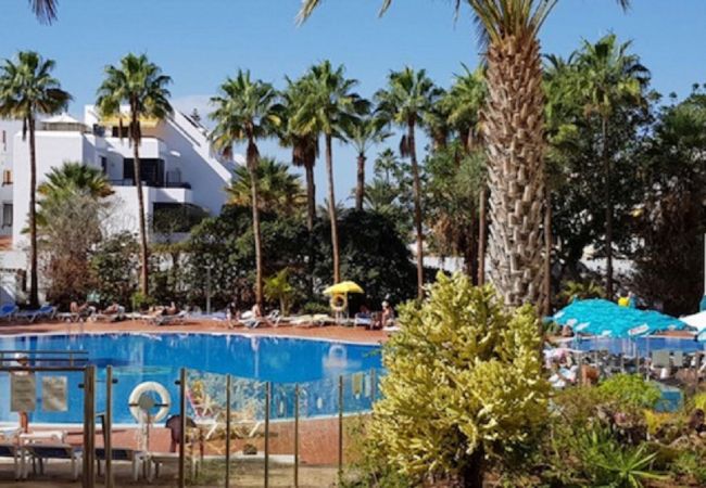 Квартира-студия на Playa de Las Americas - SHINING GOLD PARKING WIFI Y PISCINA EN EL COMPLEJO Квартира-студия на Playa de Las Americas - SHINING GOLD PARKING WIFI Y PISCINA EN EL COMPLEJO