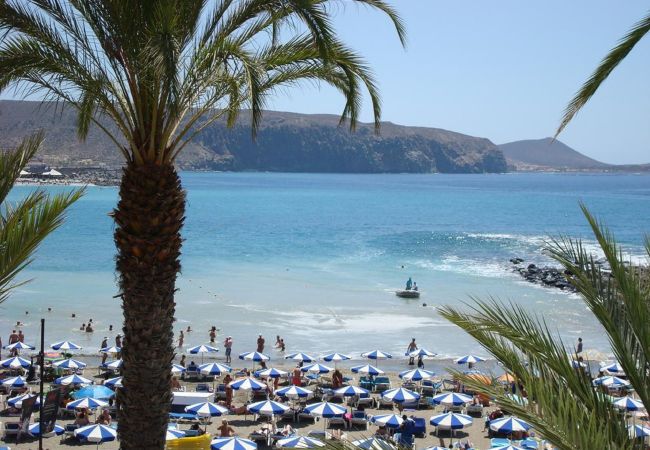 Квартира-студия на Playa de Las Americas - SHINING GOLD PARKING WIFI Y PISCINA EN EL COMPLEJO Квартира-студия на Playa de Las Americas - SHINING GOLD PARKING WIFI Y PISCINA EN EL COMPLEJO